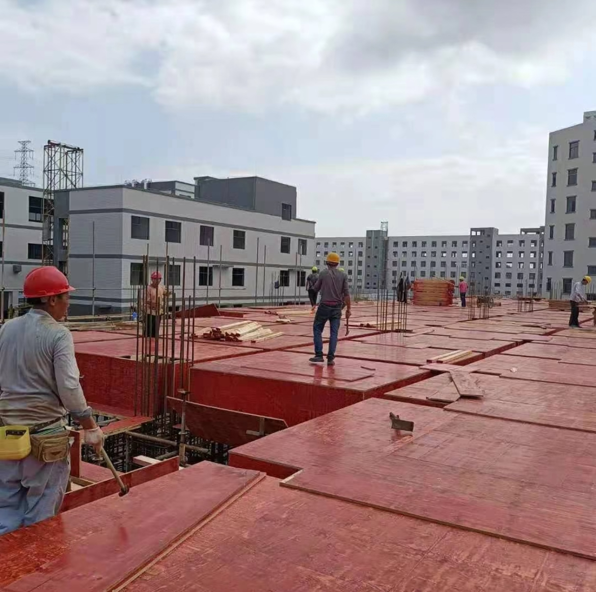 Construction & Infrastructure 